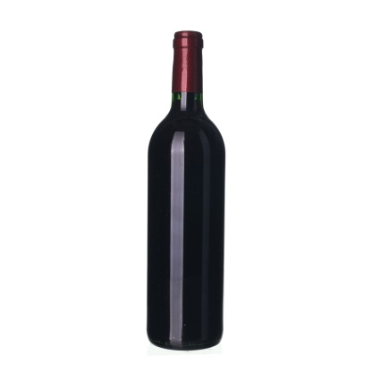 1996 Montagne-Saint-Émilion Chateau Rocher-Calon (0,75l) - Image 2