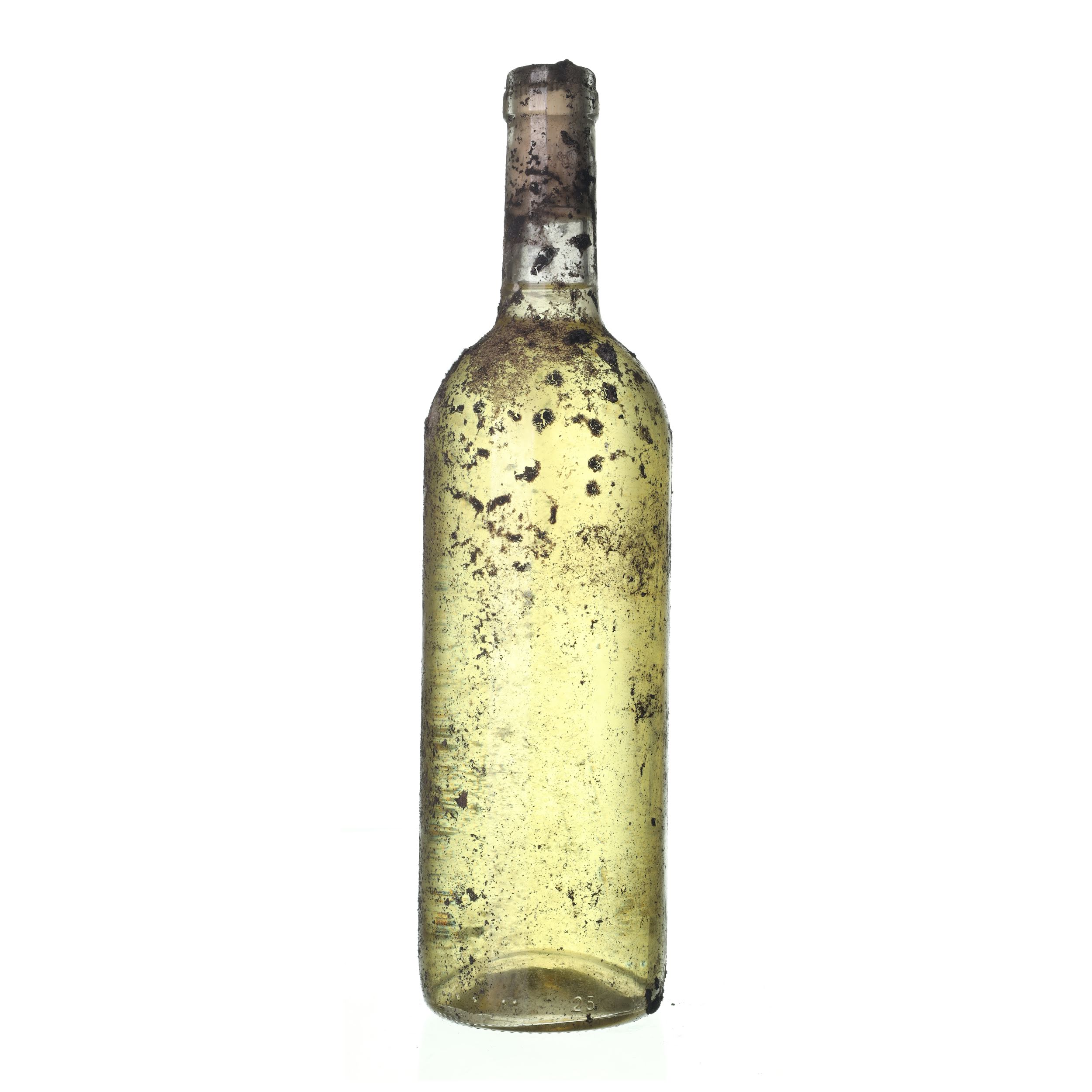 2007 Rulandské biele / Pinot blanc Château Valtice (0,75l) – Obrázok 2